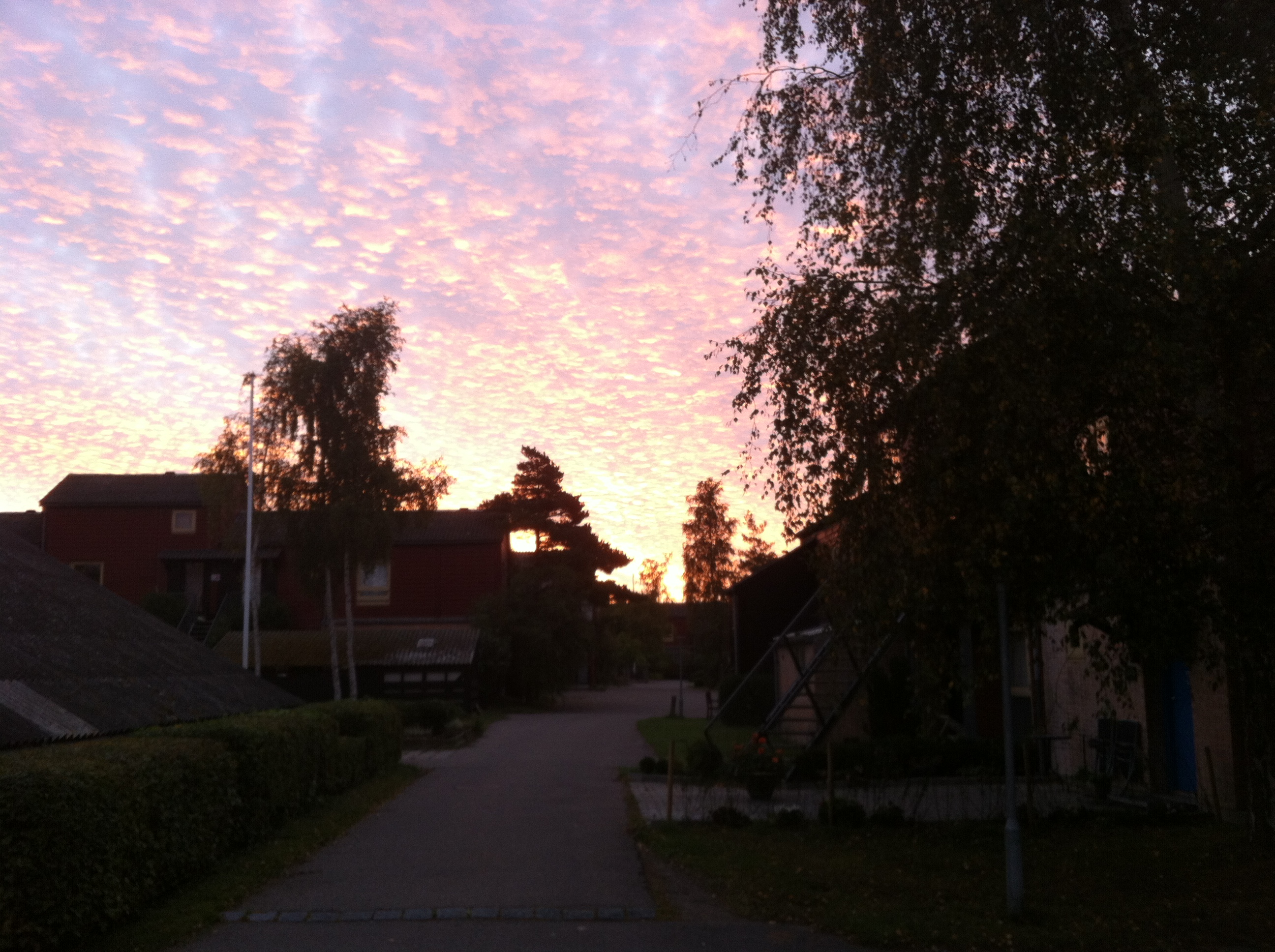 Solopgang over Tinggården